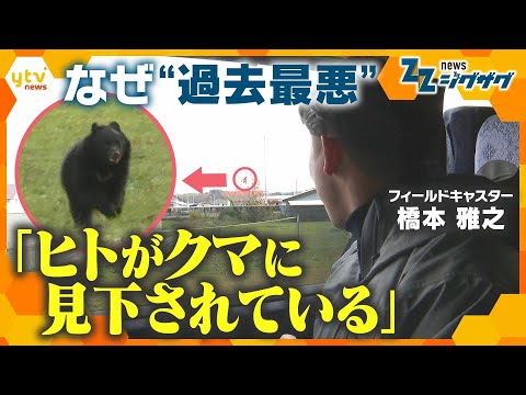 取材班がクマに遭遇｢窓を閉めて｣…独自追跡＆分析で迫る“過去最悪クマ被害”の原因と異変【ニュース ジグザグ】