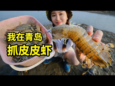 青岛抓七彩皮皮虾，赶海2小时能抓几只？一招教你轻松吃！| 青岛 | 皮皮虾 | 赶海 | 螃蟹 | 海鲜 | 山东 |