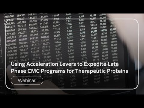 Using Acceleration Levers to Expedite Late Phase CMC Programs for Therapeutic Proteins