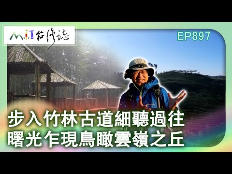步入竹林古道細聽過往 曙光乍現鳥瞰雲嶺之丘｜雲林縣古坑鄉 麥覺明【@ctvmit897集】