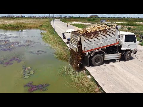Full Video! First started New Project!Truck 5TFillland Delete Pond,With Skill Dozer D21 Pushing Soil