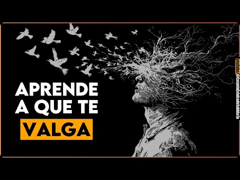Deja de Pensar Demasiado – 7 Lecciones de Estoicismo