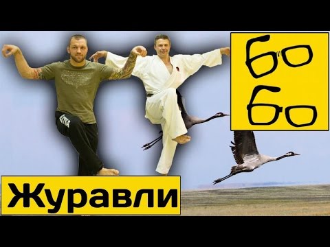 Basynin's sparring with Panasyuk, as well as a conversation about Zhuravl, KONTEN, and goju-ryu —...