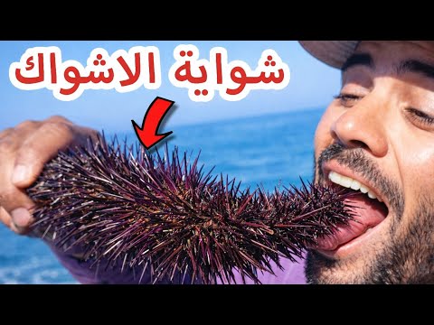 فاكهة الأشواك ....طعام الذي سوف تعشقه بعد مشاهدتك لهذا الفيديو !!!!!