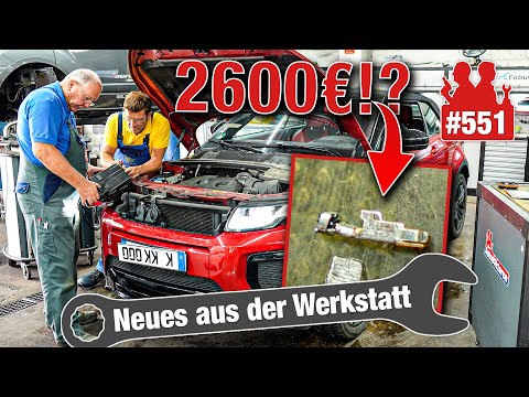 2.600€ für neuen Scheinwerfer?! 😳 Das MUSS doch anders gehen! | Wo ist der ABS-Fehler im Fiesta?