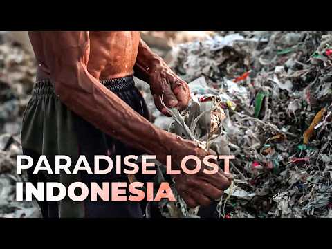 Indonesia: Sinking into Disaster
