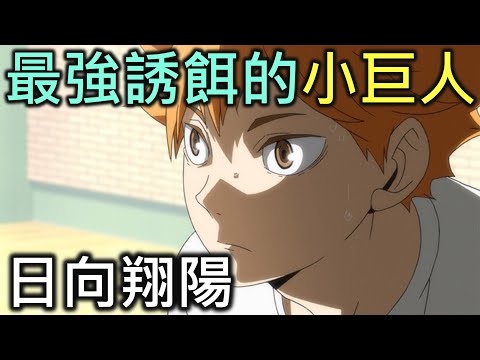 排球少年人物誌07｜最強誘餌的小巨人日向翔陽【RIVER排球少年人物誌】