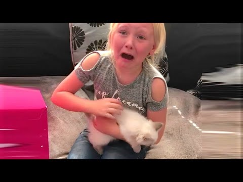She Lost Her First Cat… We Surprised Her With a Kitten! ❤️