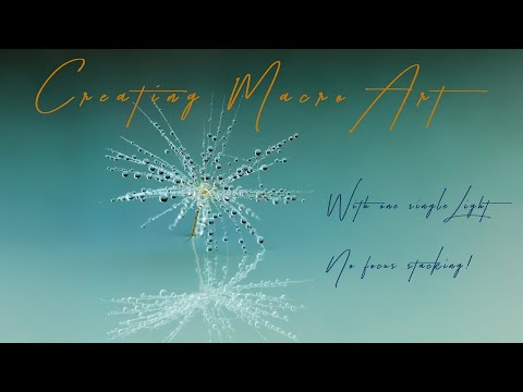 Creating Macro Art with a single light