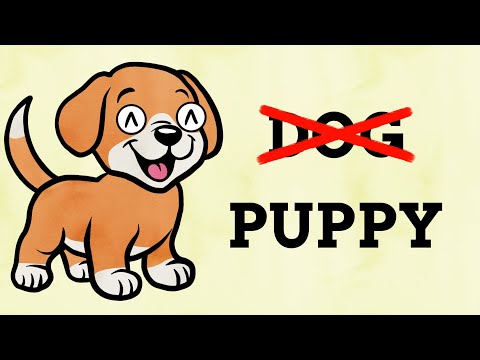 Why Baby Animals Have Their Own Names