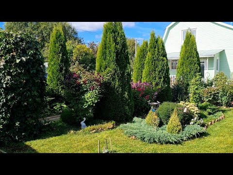 Прогулка по летнему саду 2025г.🌹💕Ленинградская область.