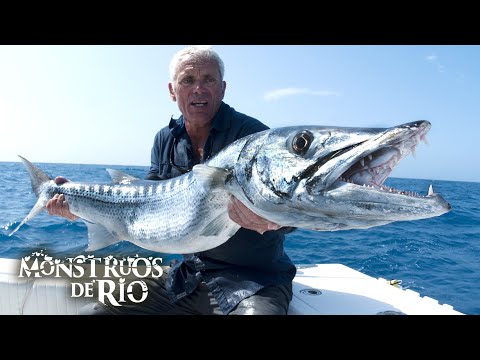 Cabeza de Navaja: Corta Carne y Destroza Huesos | T8 E01 | Monstruos de Río