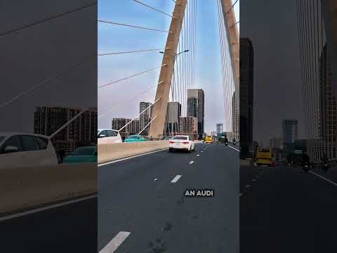 Manifest 50 năm sau bạn mong muốn điều gì? #audia4