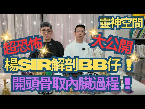 超恐怖,膽少勿看 !/楊Sir解剖BB仔/開頭骨取內臟過程大公開/殮房恐佈故事/