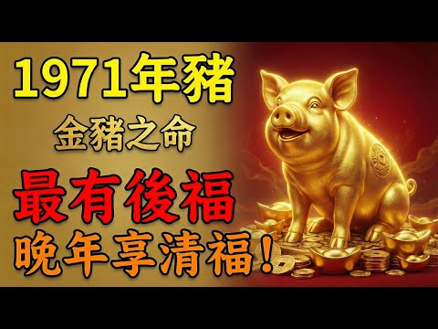 1971年屬豬人，金猪之命，晚年是「孤獨」還是「享福」？佛說：只要這樣做，晚年錢財無憂、享清福！#1971年屬豬 #生肖豬運勢 #屬豬運勢 #2026年屬豬運勢 #金豬命 #屬豬人 #辛亥豬 #生肖豬