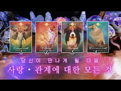 당신의 다음(또는 현재) 사랑 • 관계에 대한 모든 것 😻💘 타임리스 사이킥 타로 리딩 ⟡