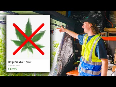 Framing strangers as "dealers" PRANK