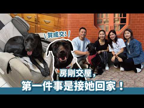 The first thing they did after taking possession of the house was to bring their big black dog, B...