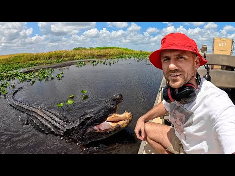 Alligator - Alcatraz. Swamps, Prison and Hidden Indian Island