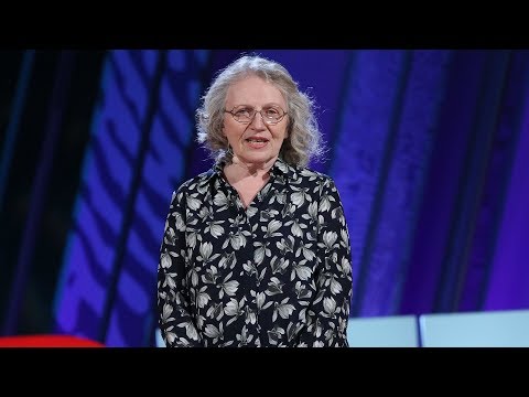 What happens when the immune system goes rogue?