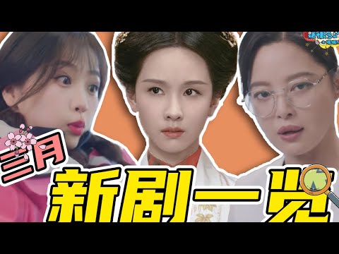 落跑甜心、木头桩子、全员奇葩，我被你们害得好惨！