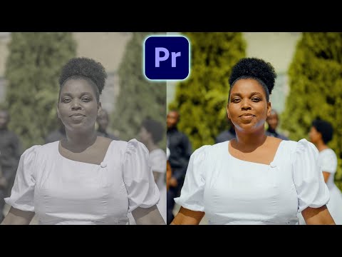 Learn Color Grading in 10 Minutes — Premiere Pro Tutorial