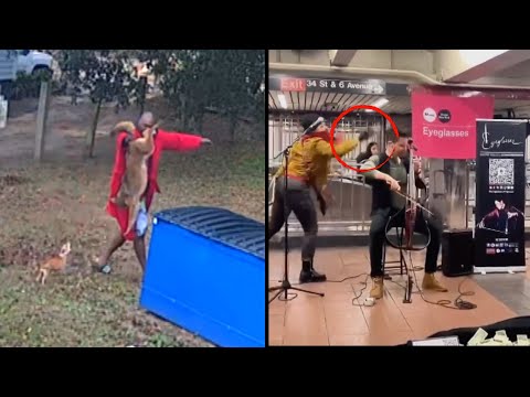 The Most Popular Stories of 2024