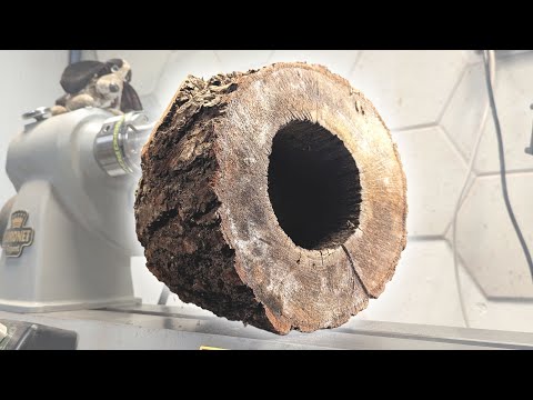 ROTTEN to the Core – and Perfect for Turning #woodturning