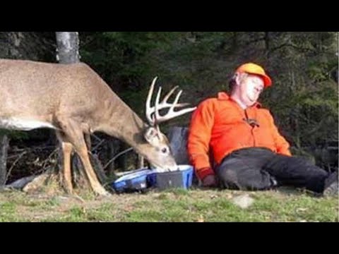 One in a Billion Wild Animal Moments Caught on Camera 😂