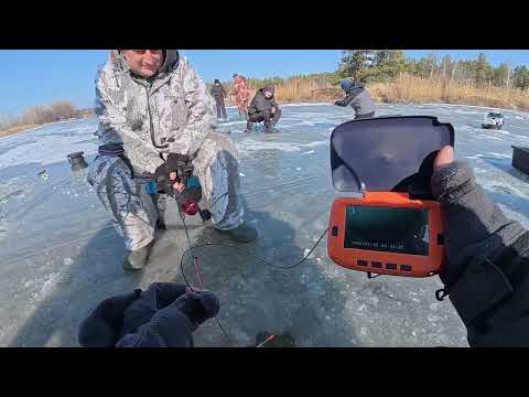 Море КАРАСЯ Потом САЗАНИ, Крута рибалка на кивок