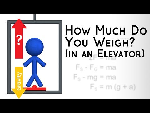 Calculate Normal Force &amp; Scale Reading in an Elevator | Apparent Weight vs. Gravity