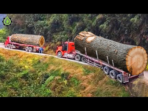 Extreme Dangerous Transport Skill Operations Oversize Truck | Biggest Heavy Equipment Machines #33