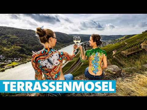 Die Terrassenmosel  - spektakuläre Flusslandschaft von Pünderich bis Koblenz