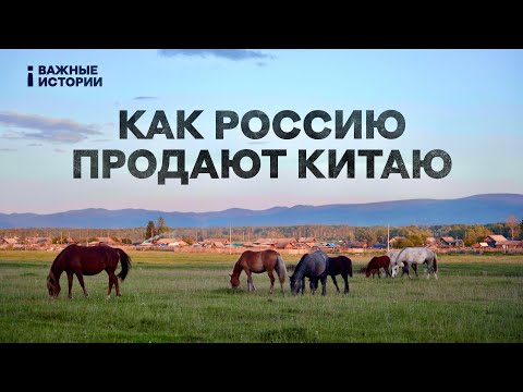 How Russia is destroying nature for China's coal supply