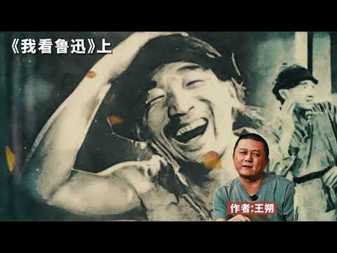 王朔《我看鲁迅》上集鲁迅在太多人和事上看不开常跟小人过不去