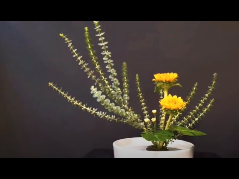 插花藝術--你會喜歡哪一種插花技法 Flower Arrangement Ideas