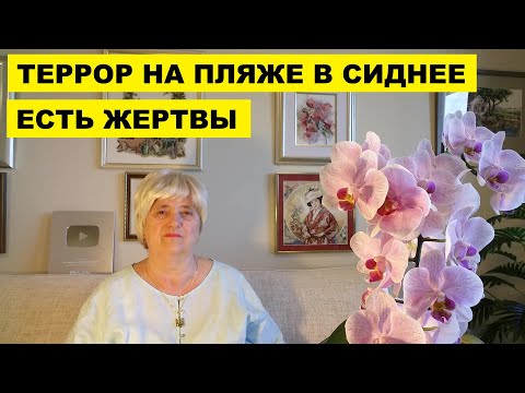 ТЕРРОРИСТЫ НА ПЛЯЖЕ В СИДНЕЕ!..РЯДОМ С ДОМОМ ДОЧЕРИ