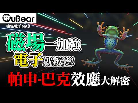 強磁場的極限！當「萬物」都能違反地心引力時，「二分之一」跑到哪裡去了？(帕申－巴克效應)🌀自旋與統計🌀｜量子熊 ✕ 龍騰文化｜#MAD060 #瘋狂牡羊