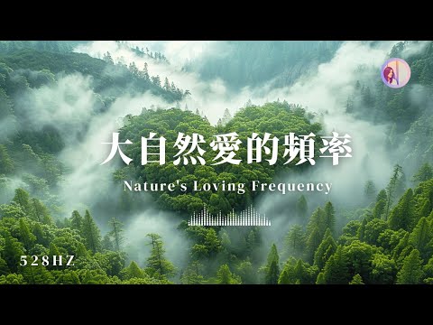 Meditation Music for Emotional Release, Healing & Sleep | 528Hz Frequency, Healing Music