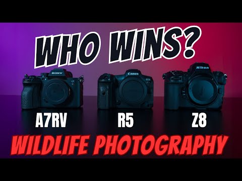 Nikon Z8 vs Canon R5 vs Sony ARV : $4K Wildlife Photography Camera Shootout. Who Wins?