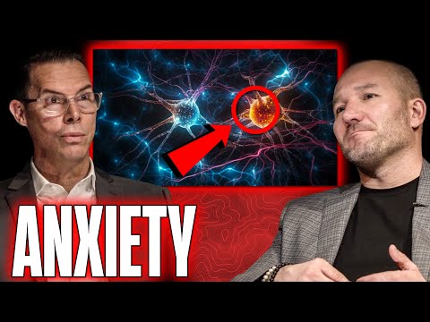 Doctor Breaks Down Why You're Having Anxiety and The Complexities of The Human Brain That Cause It
