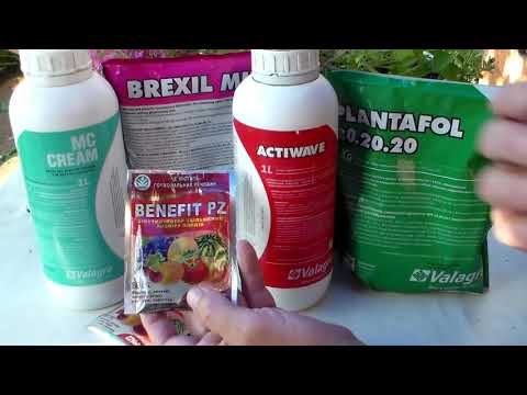 Биостимуляторы и удобрения фирмы Valagro