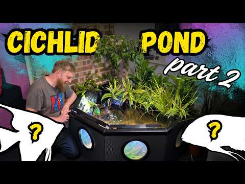 Adding Fish and Plants to the Cichlid Jungle pond! I have a pond in my garage!