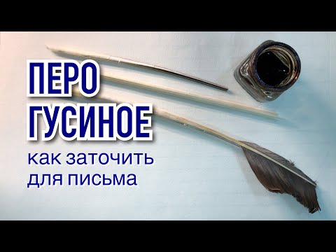 Как заточить гусиное перо для письма. Эксперимент 6 июня в Пушкинский День России.