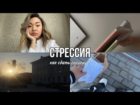 СтрЕССИЯ | экзамен по гигиене | 3 курс ОмГМУ #студентмедик #сессия #омгму