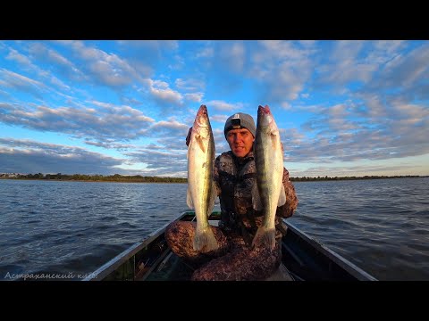 НАПЯЛИЛ УКЛЕЙКУ, СУДАК ОЗВЕРЕЛ! СТАРИКИ ВСЕГДА ТАК ЛОВЯТ. Рыбалка на ВОЛГЕ. Ловля судака на живца