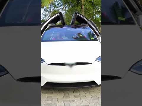 पेड़ और बादलों में क्या है? मज़ेदार खोज! #shorts