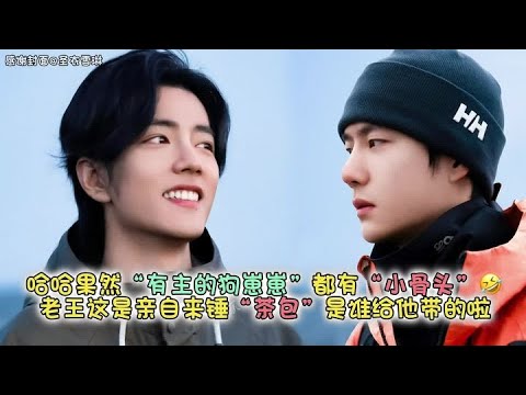 哈哈果然“有主的狗崽崽”都有“小骨头”啊🤣老王这95分的睡眠质量直接亲自来锤当初那个“助眠茶包”是谁给他带的啦#博君一肖 #向全世界安利 #这谁能顶得住啊 #高甜来袭 #肖战王一博