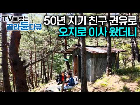 자식들도 못 말린다. 통통배만 탔다 하면 물고기 몇천 마리 쓸어오는 노부부｜50년 지기 친구의 권유로 산세에 반해 연고도 없는 오지로 왔다｜강원도의 가을 밥상｜한국기행｜#골라듄다큐