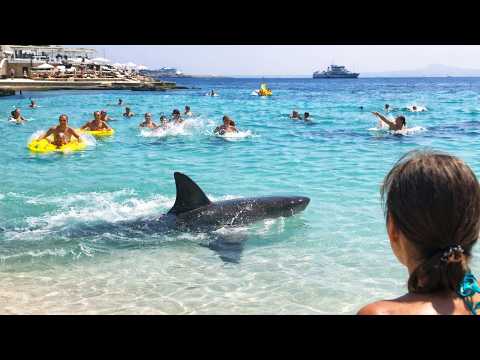 20 Most Dangerous Beaches in the World